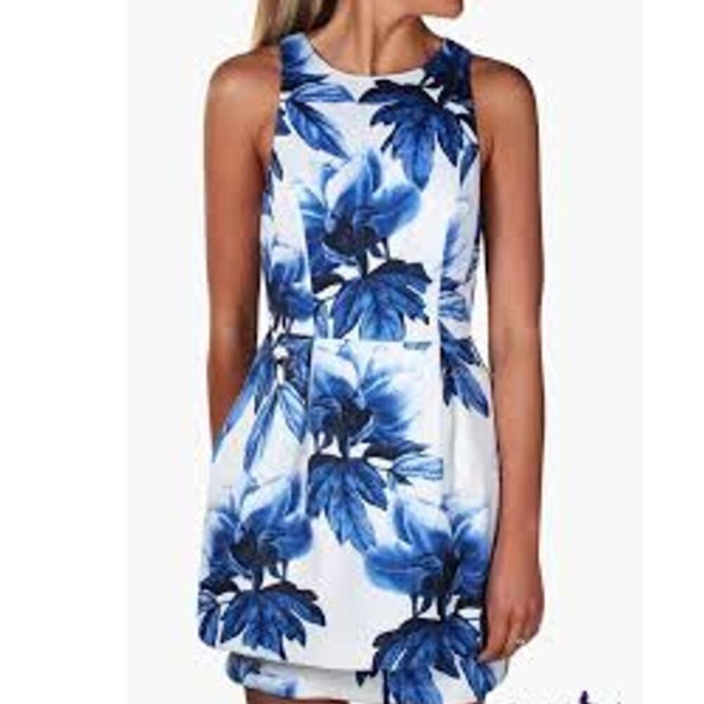 Keepsake Counter Attack Fit & Flare Mini Dress Wedgwood Floral Women's XXS NWT